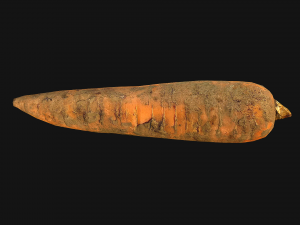 Carrots Vegetables 3D Модель