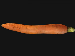 Carrots Vegetables Bazaar Food Garden bed 3D Model