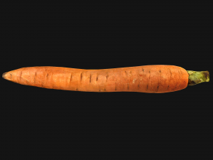 Carrots Vegetables 3D Модель