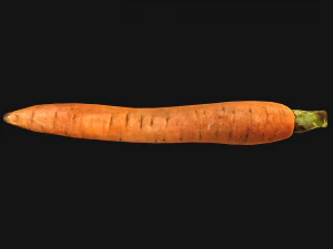 Carrots Vegetables Bazaar Food Garden bed 3D Model