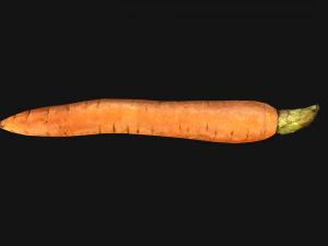 Carrots Vegetables Bazaar Food Garden bed 3D Model