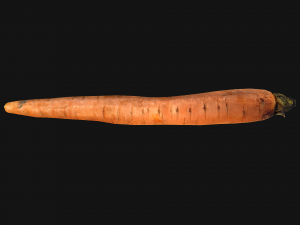 Carrots Vegetables 3D Модель