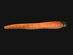 Carrots Vegetables Bazaar Food Garden bed 3D Model