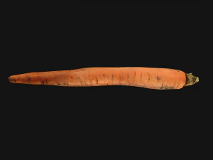 Carrots Vegetables Bazaar Food Garden bed 3D Model