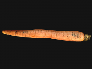 Carrots Vegetables 3D Модель