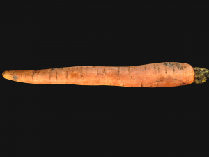 Carrots Vegetables 3D Модель