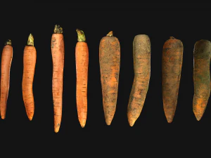 Carrots Box Crate Stand Bazaar Stall 3D Model