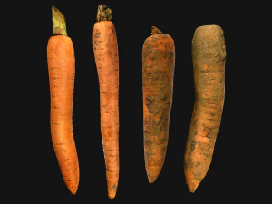 Carrots Box Crate Stand Bazaar Stall 3D Model