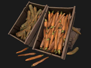 Tempat Peti Kotak Wortel Model 3D