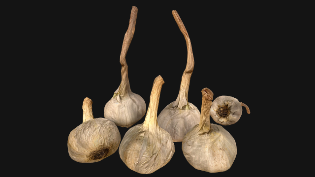 Garlic Modelo 3D .c4d .max .obj .3ds .fbx .stl .blend 