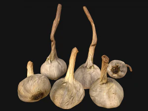 Bawang putih Model 3D