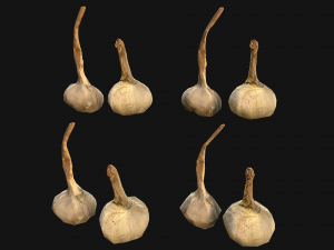 Garlic Modelo 3D