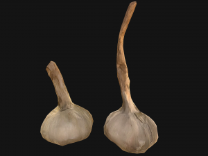Garlic Modelo 3D