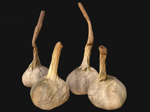 Garlic Modelo 3D