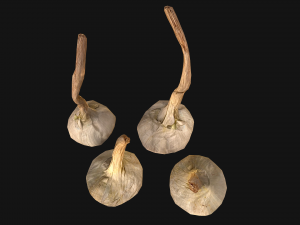 Garlic Modelo 3D