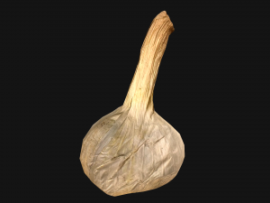 Garlic Modelo 3D