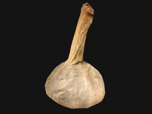 Garlic Modelo 3D