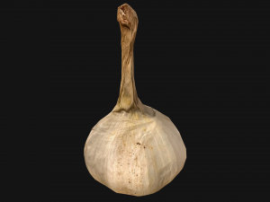 Garlic Modelo 3D