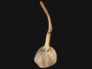 Garlic Modelo 3D