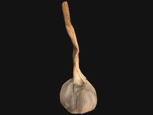Garlic Modelo 3D