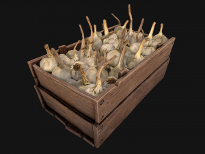 Garlic Box Crate Stand 3D Model