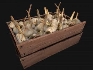 Garlic Box Crate Stand 3D Model