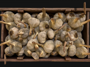 Garlic Box Crate Stand 3D Model