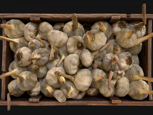 Garlic Box Crate Vegetable Bazaar Stand Stall Market 3D Model