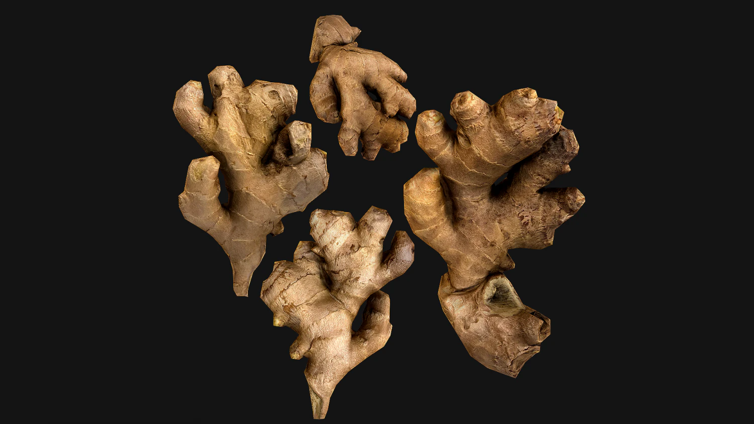 Ginger 3D Model .c4d .max .obj .3ds .fbx .stl .blend 