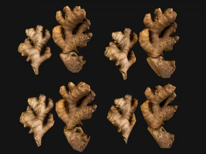 Ginger 3D Model