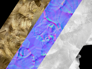 Ginger 3D 模型