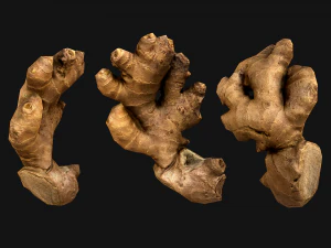 Ginger 3D Model