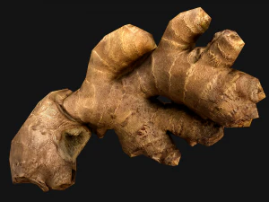 Ginger 3D Model