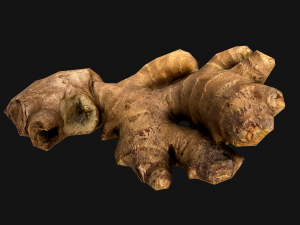 Ginger 3D 模型