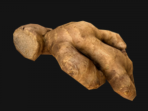 Ginger 3D 模型