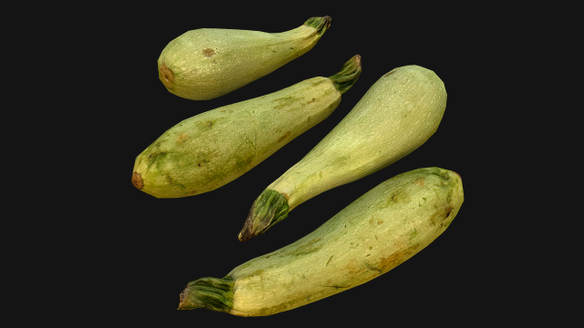 Marrow Model 3D .c4d .max .obj .3ds .fbx .stl .blend 