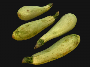 Marrow 3D Model