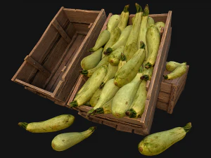 Tempat Kotak Sumsum Peti Model 3D