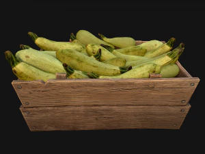 Crate Marrows Box Stand 3D Model