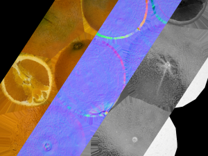 Orange Modelo 3D