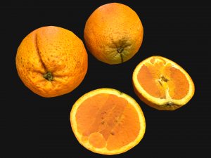 Orange Modelo 3D