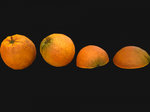 Orange Modelo 3D