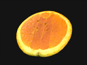 Orange Modelo 3D