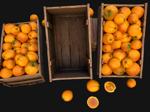 Crate Oranges Box Stand 3D Model