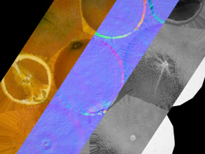 Crate Oranges Box Stand 3D Model