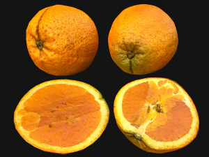 Crate Oranges Box Stand 3D Model