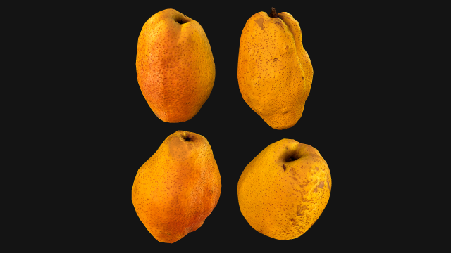 Pear 3D Model .c4d .max .obj .3ds .fbx .stl .blend 