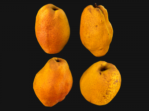 Pear 3D Model