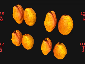 Pear 3D Model