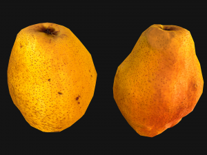 Pear 3D Model